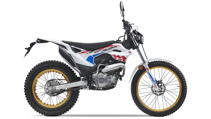 Montesa 4Ride 2020